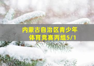 内蒙古自治区青少年体育竞赛丙组5\1